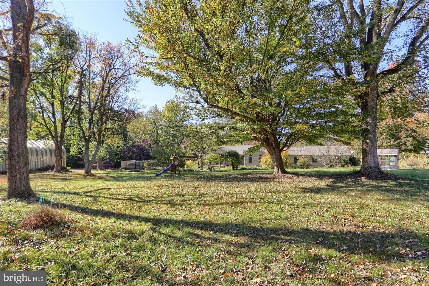 211 Frederick Street photo 54