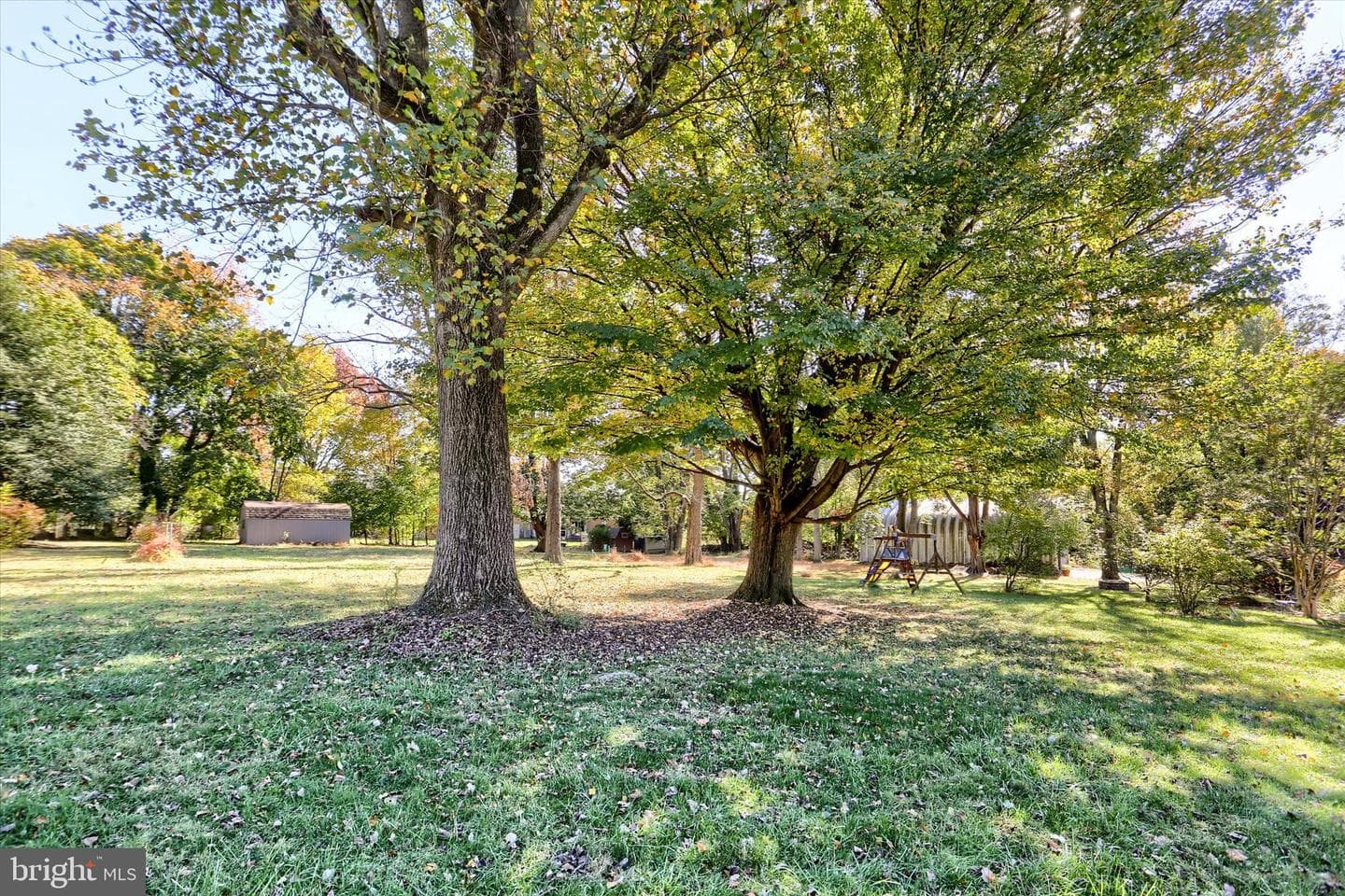 211 Frederick Street photo 55