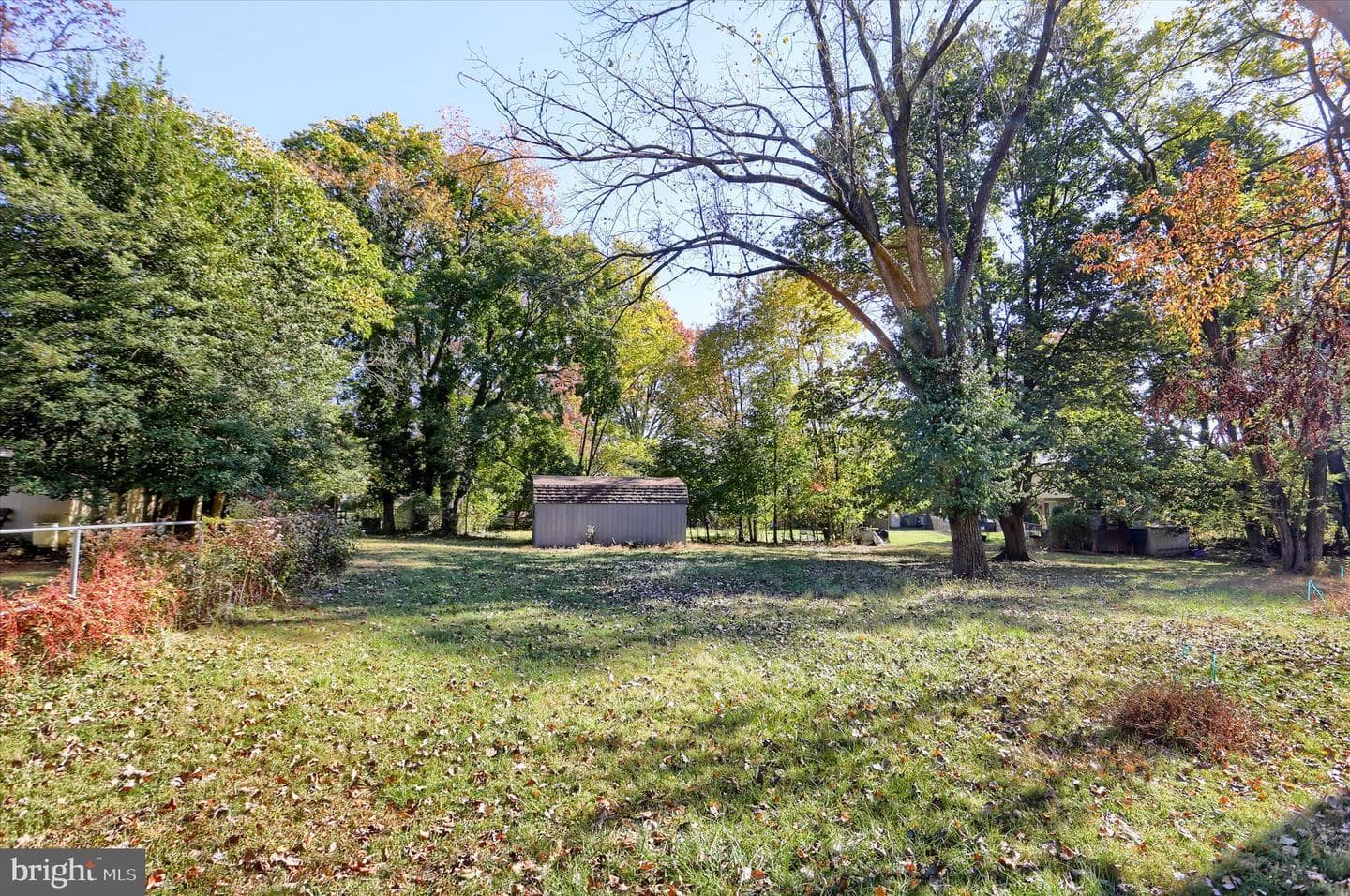 211 Frederick Street photo 56
