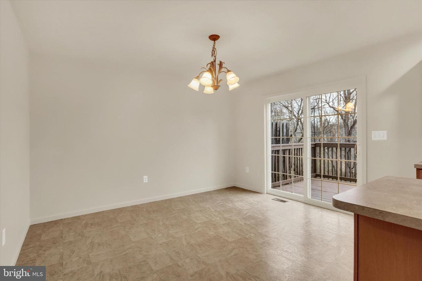 9089 Joyce Lane photo 19
