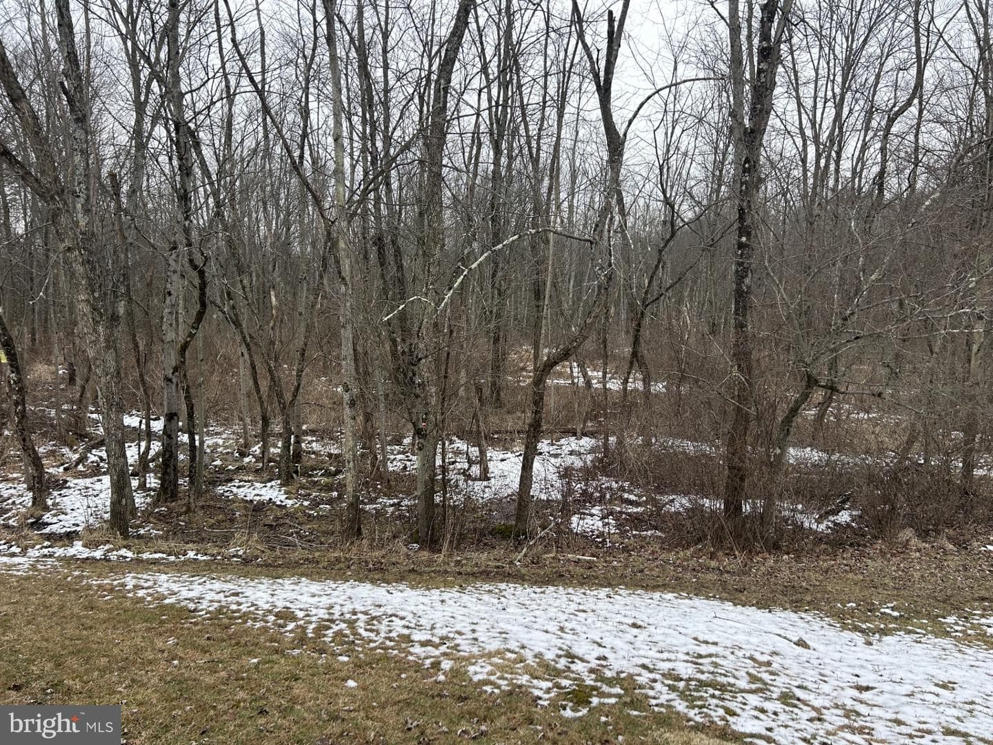 29 Meadow Run Place Place photo 13