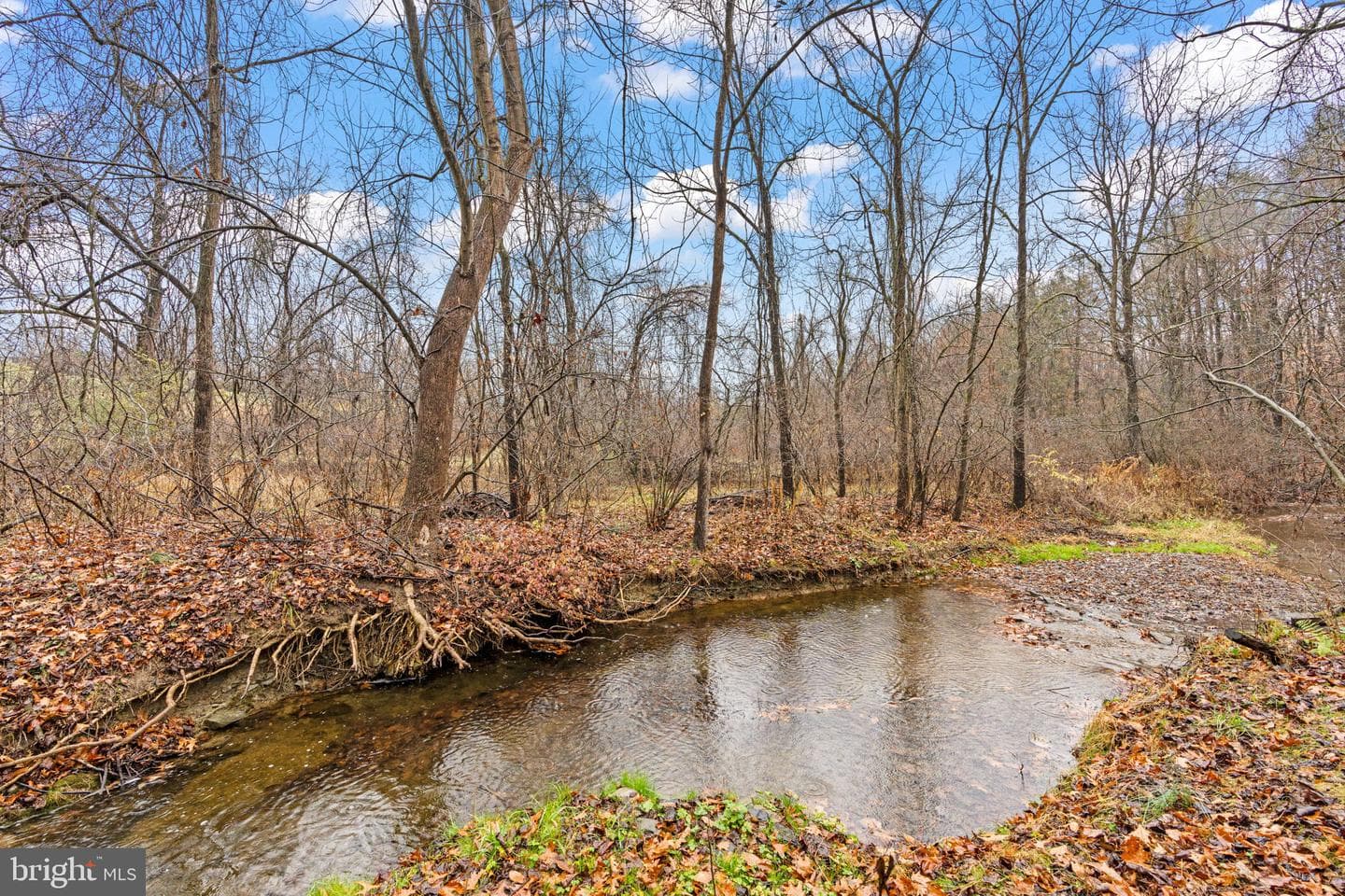 7020 Beech Tree Drive photo 47