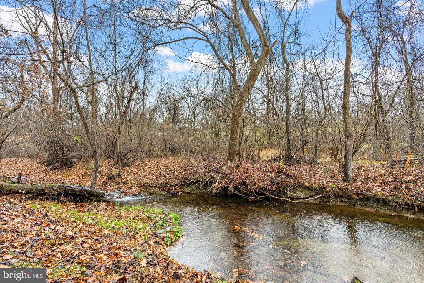 7020 Beech Tree Drive photo 48