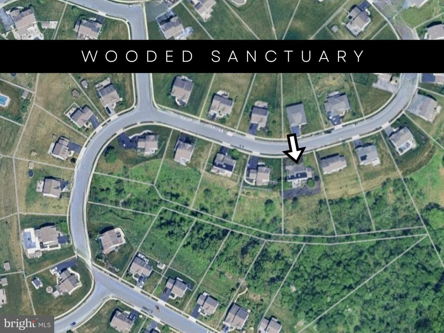7041 Woodsman Drive photo 2