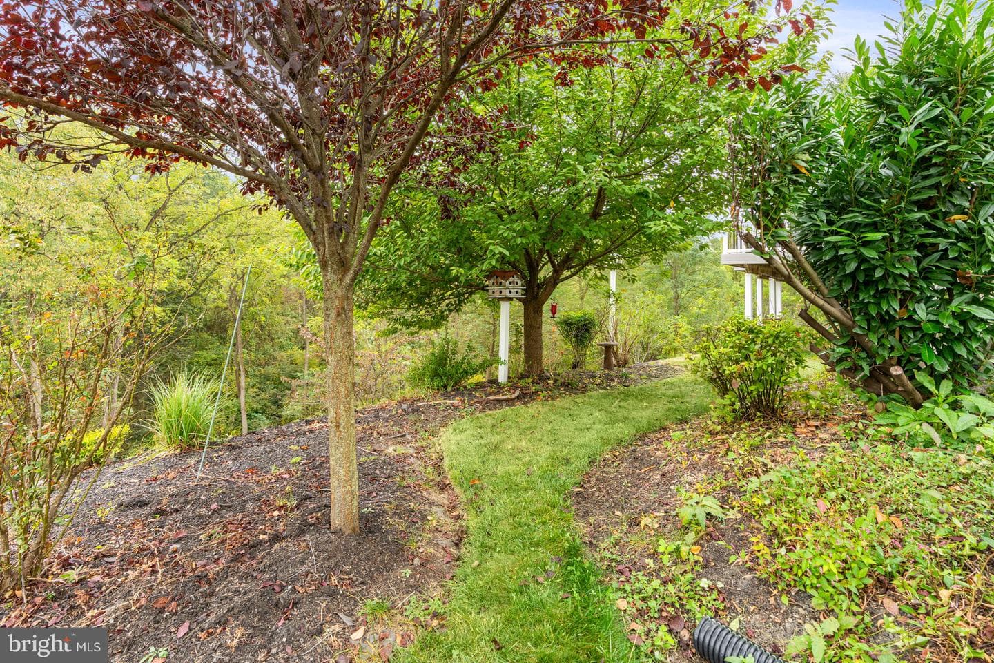 7041 Woodsman Drive photo 60