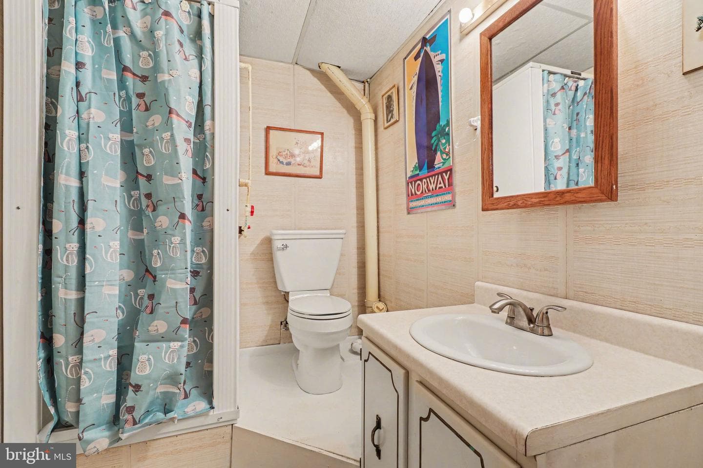 1118 Bethlynn Drive photo 21