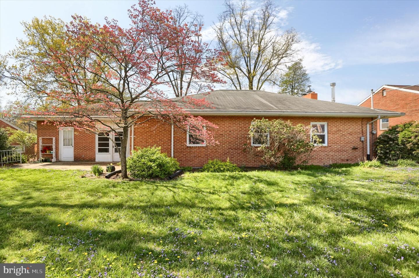 3802 Darby Road photo 29