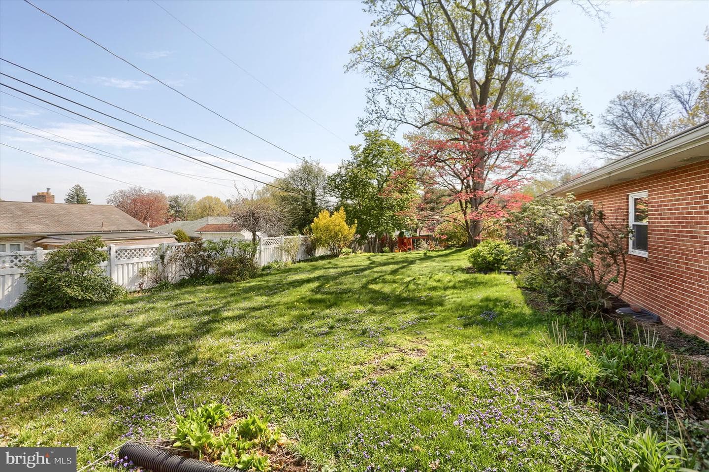 3802 Darby Road photo 30