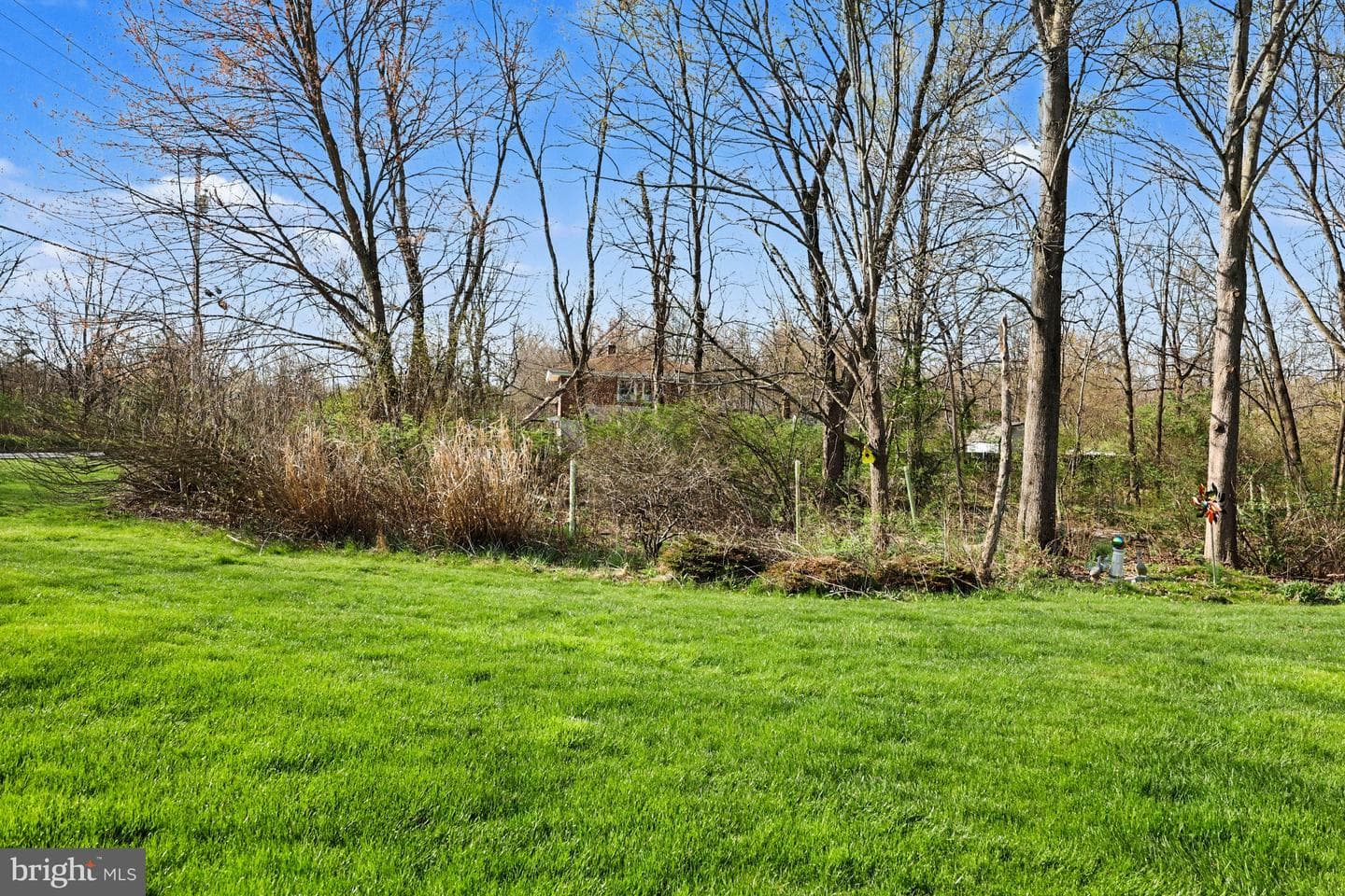 6401 Whisper Wood Lane photo 9