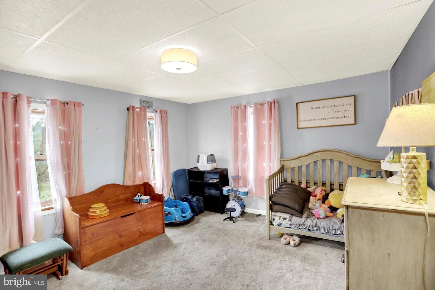 468 Elizabeth Street photo 18
