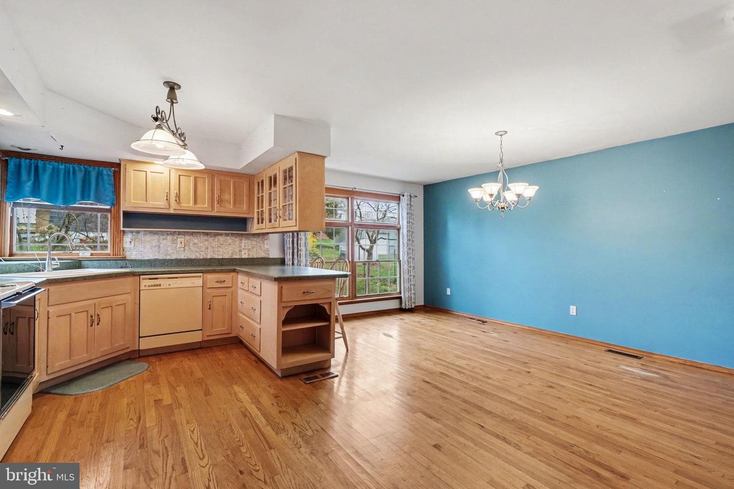 907 Meadow Lane photo 10