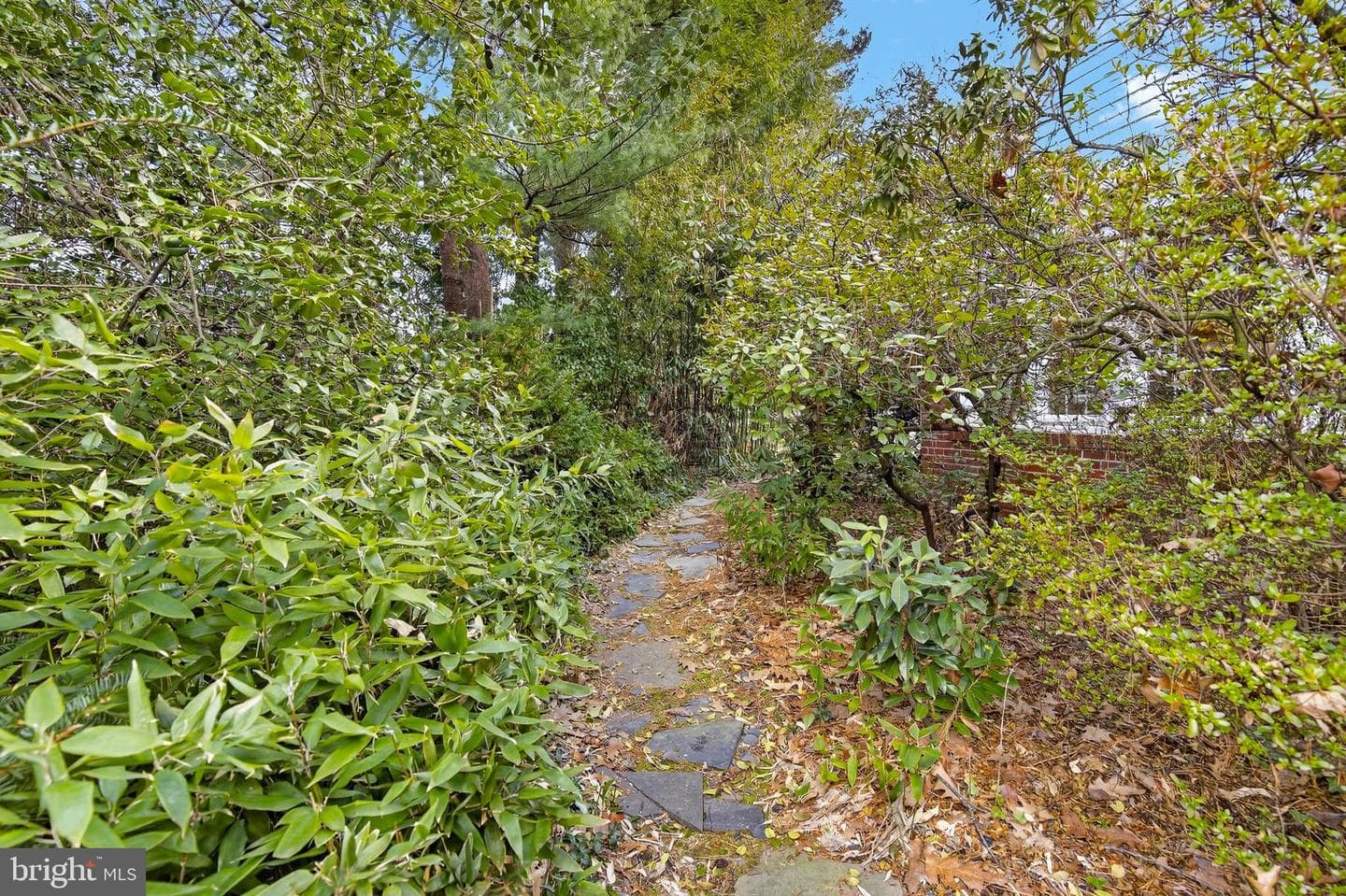 2315 Edgewood Road photo 40