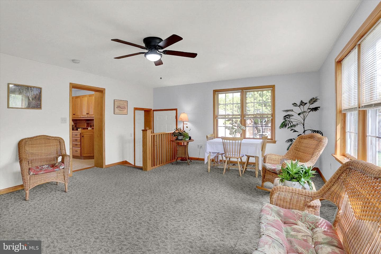 124 Levan Street photo 12