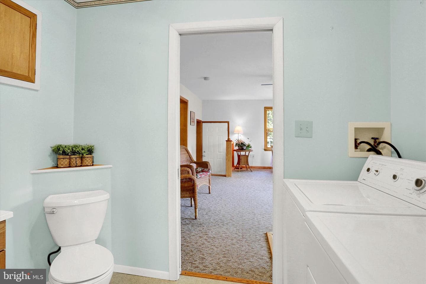 124 Levan Street photo 17