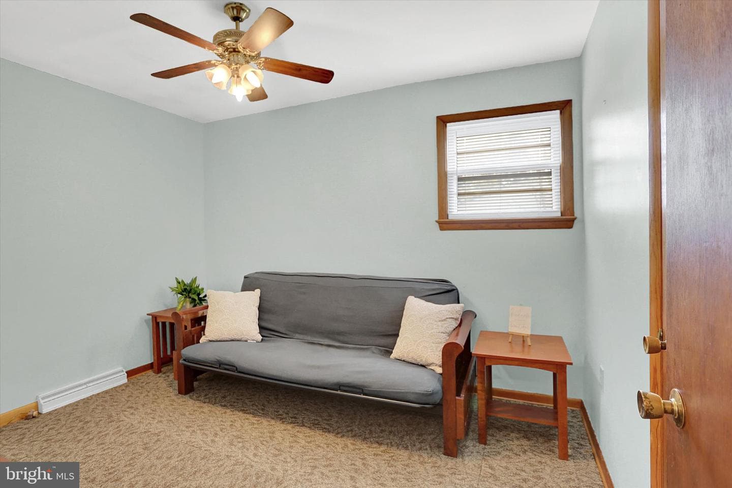 124 Levan Street photo 21