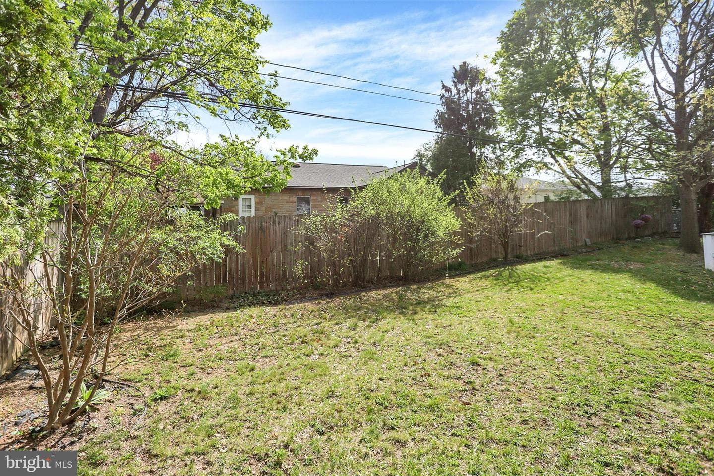 124 Levan Street photo 41