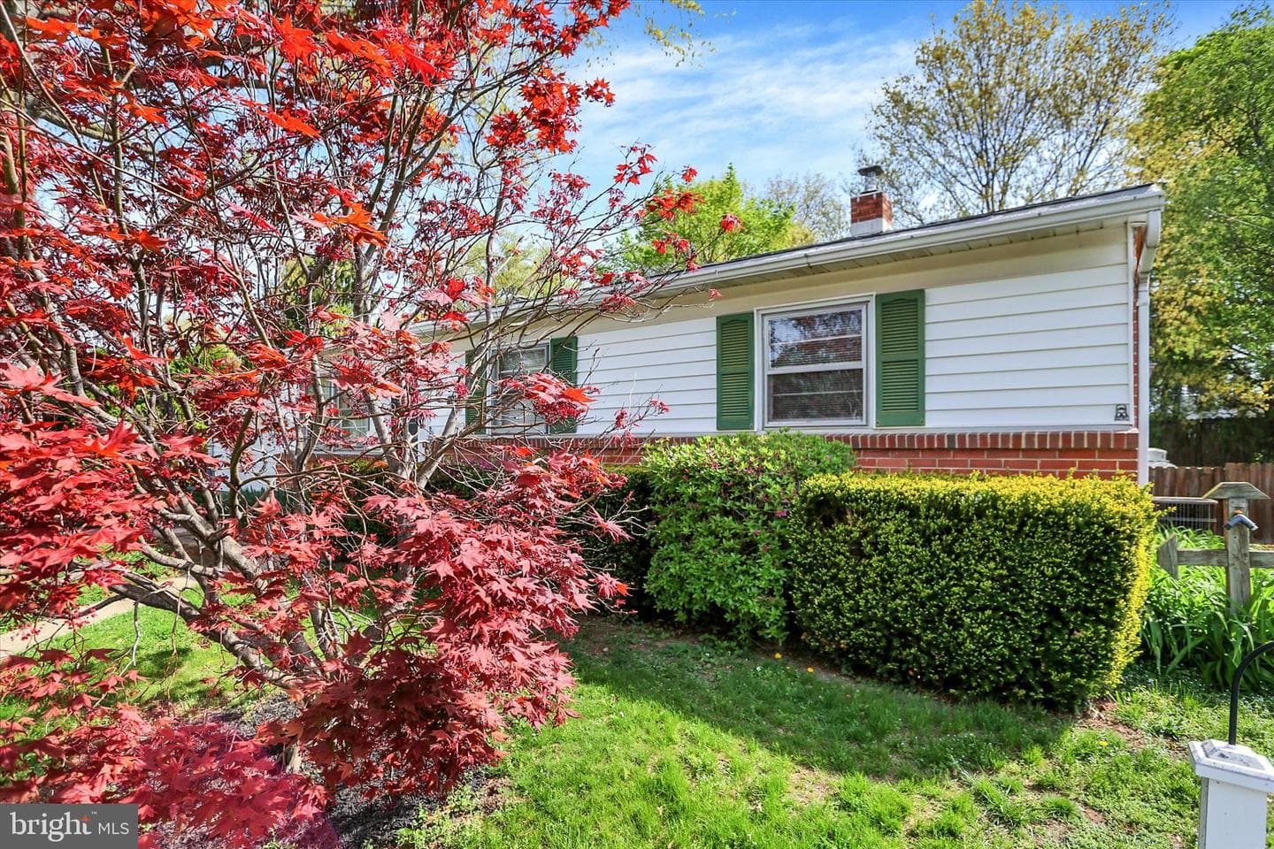 124 Levan Street photo 5