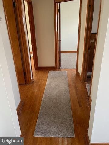 16 Theodore Avenue photo 3
