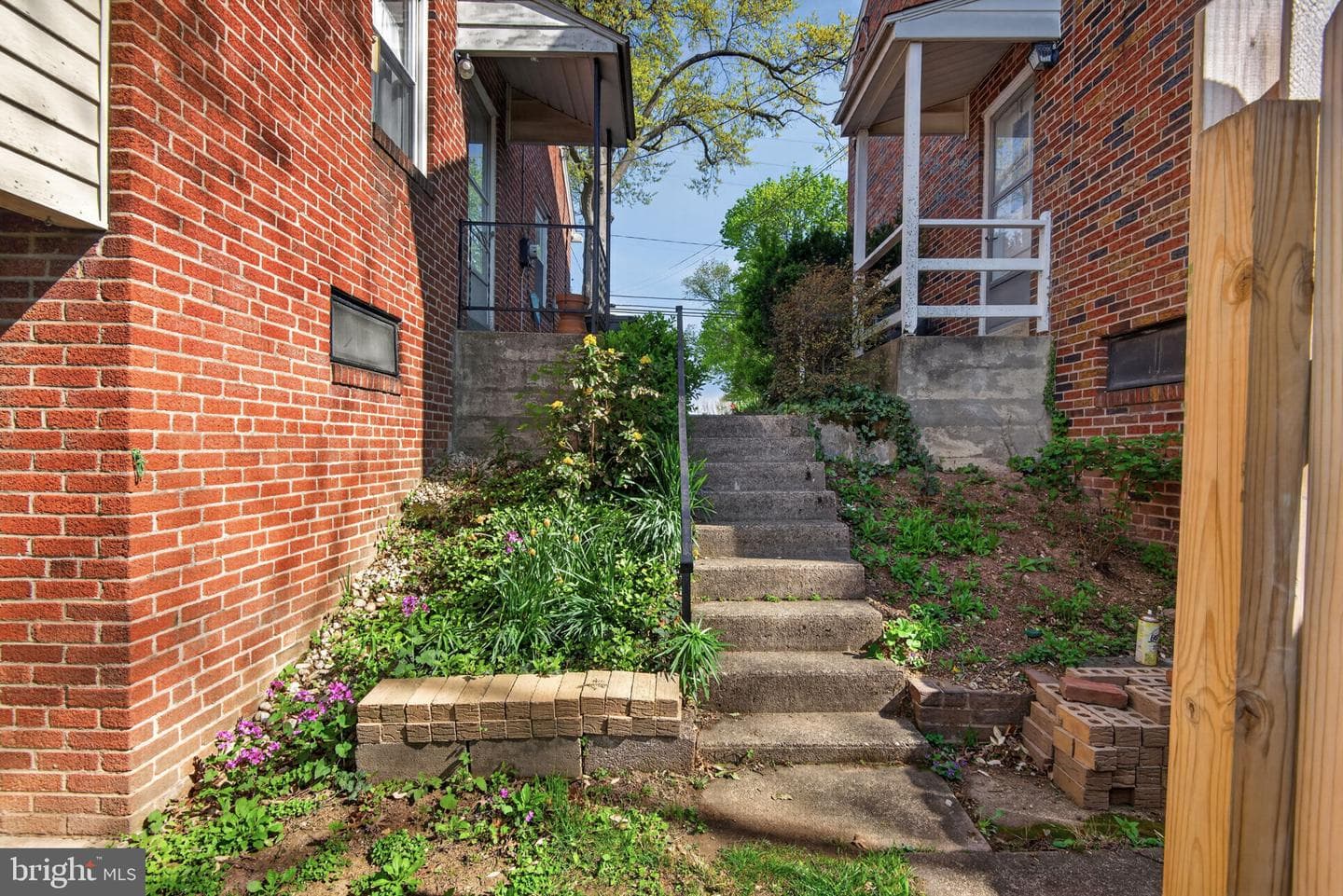 2817 Boas Street photo 29