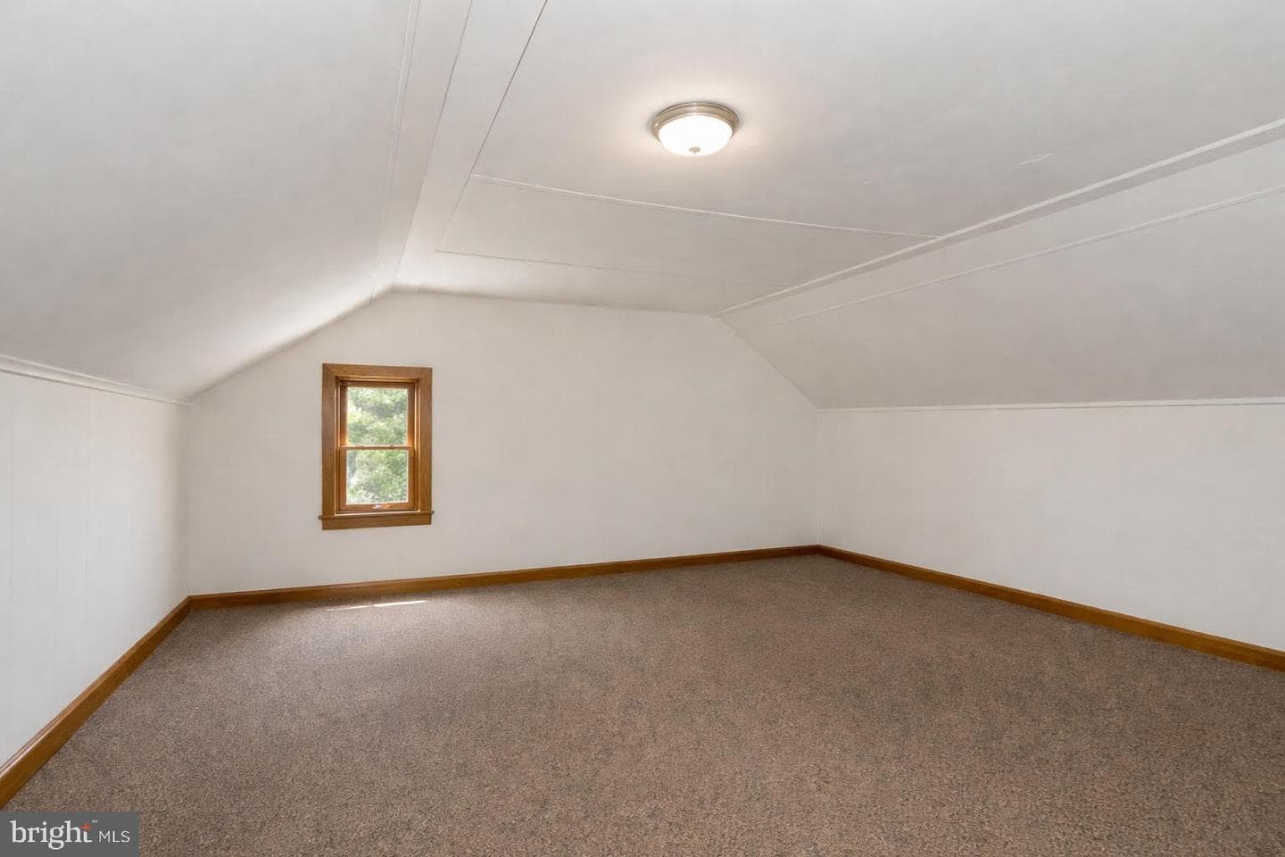 7 Oakleigh Avenue photo 15