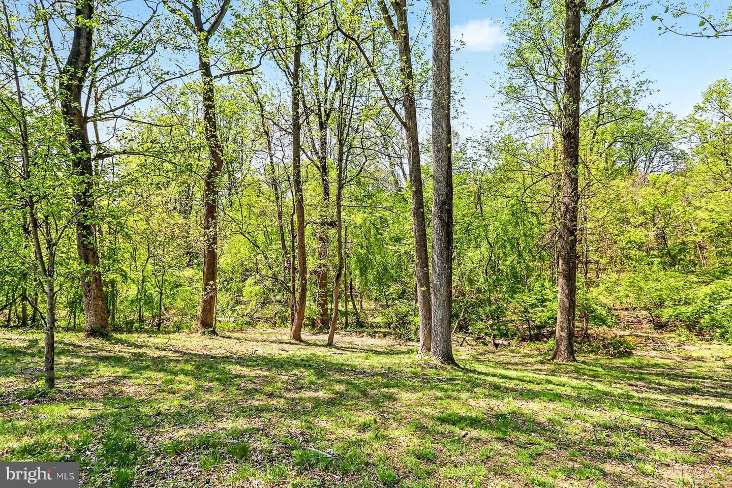 5900 Ivy Lane photo 43
