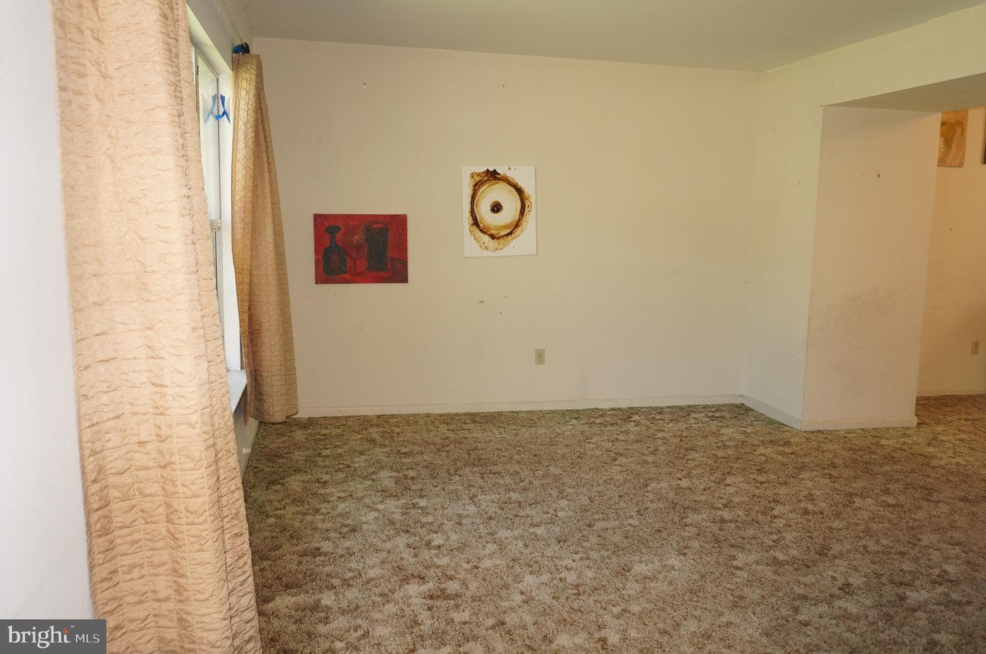 783 Blue Jay Road photo 9