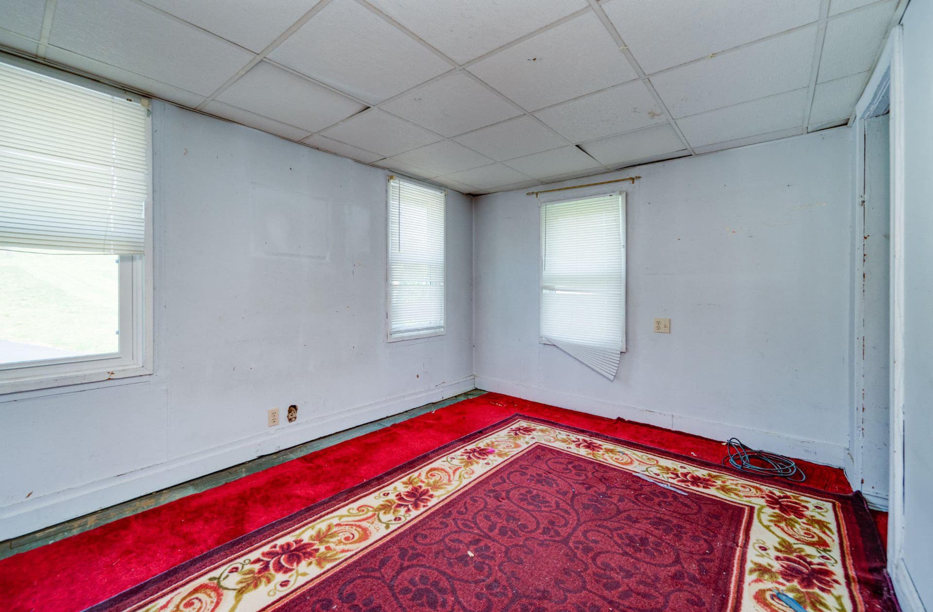 2023 Locust Lane photo 18