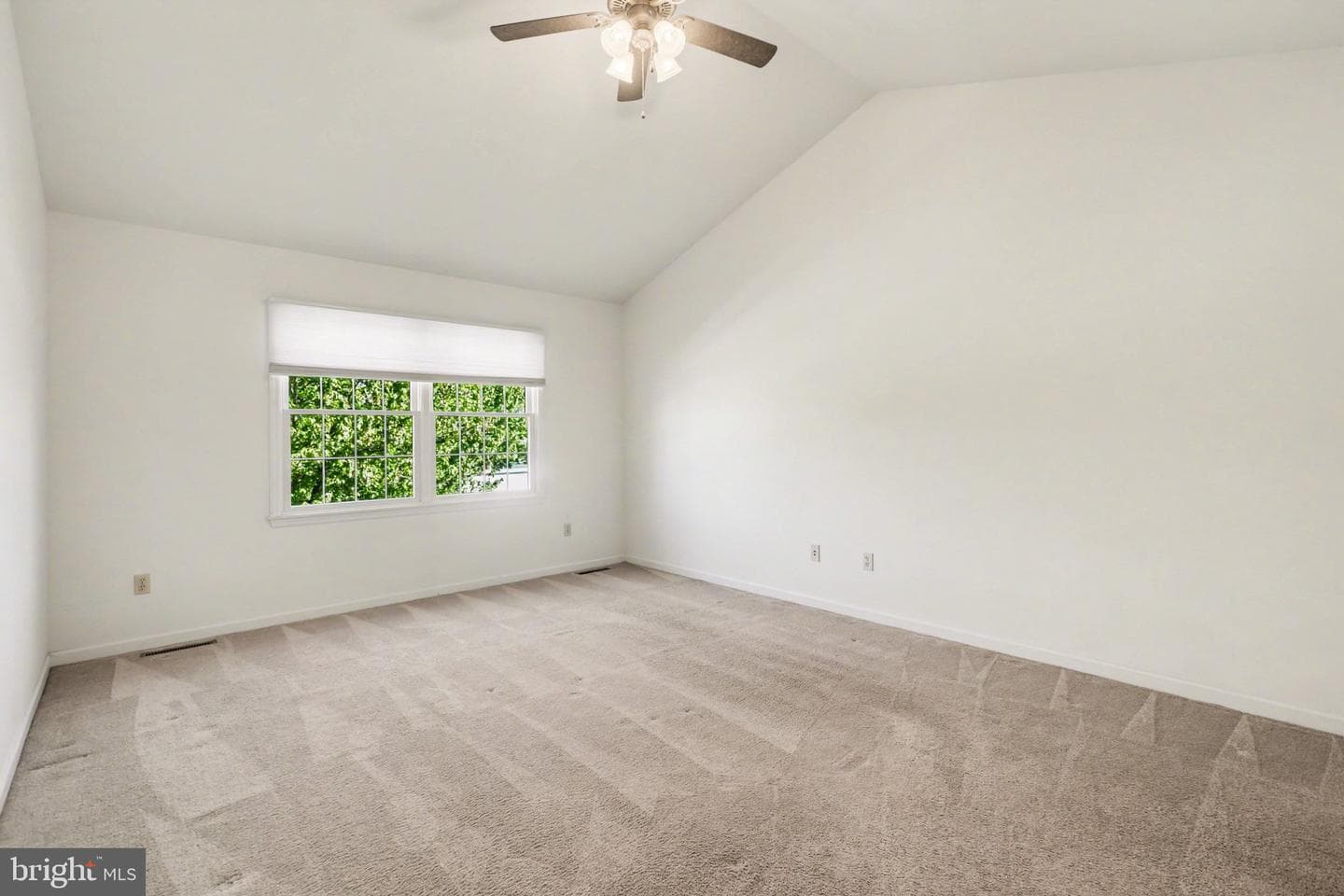 6505 Alfano Drive photo 18