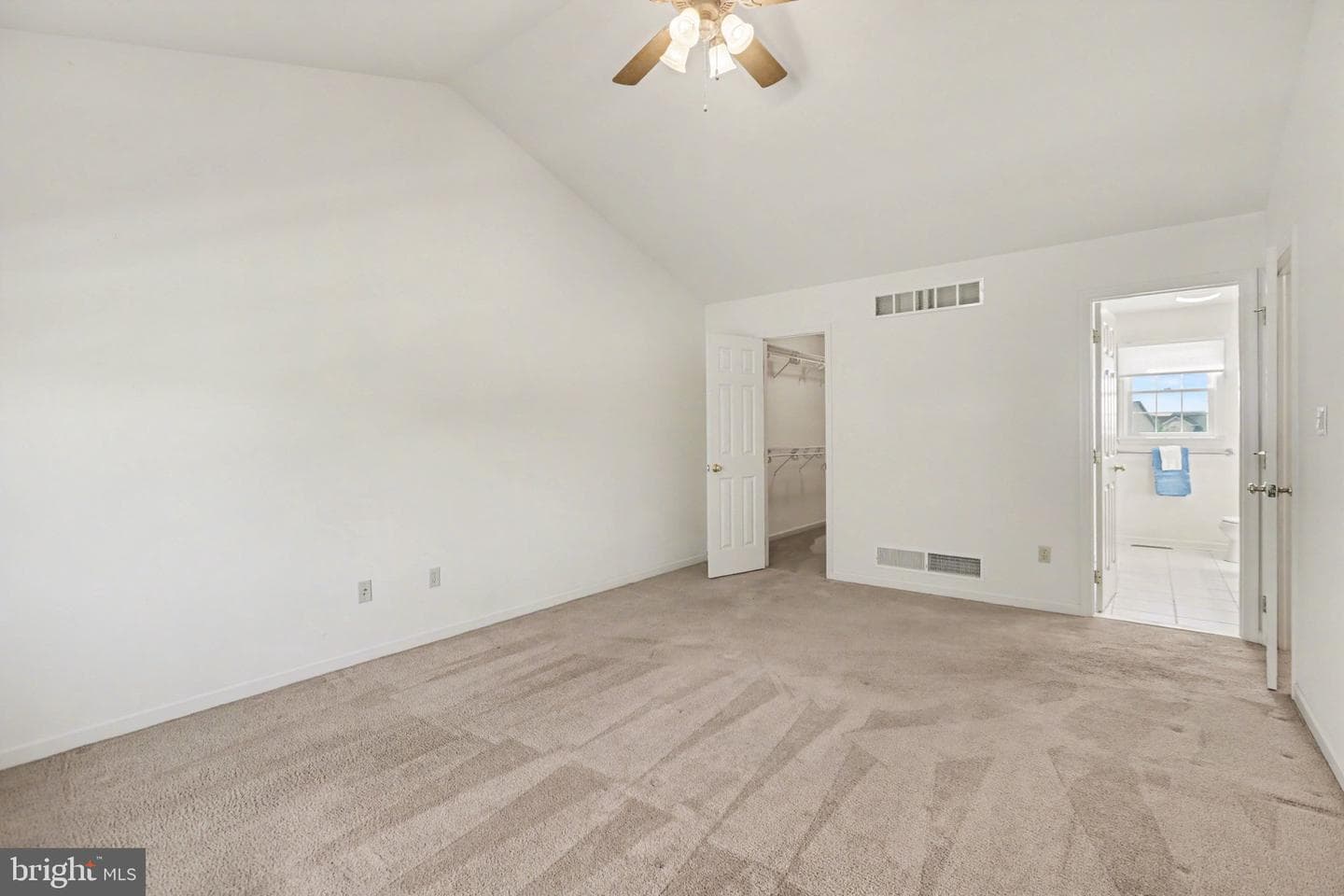 6505 Alfano Drive photo 19