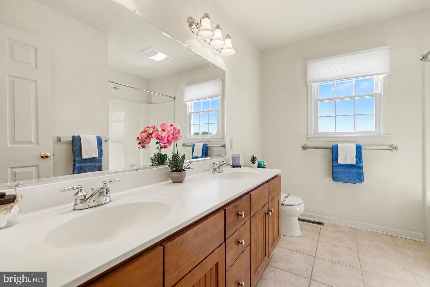 6505 Alfano Drive photo 23