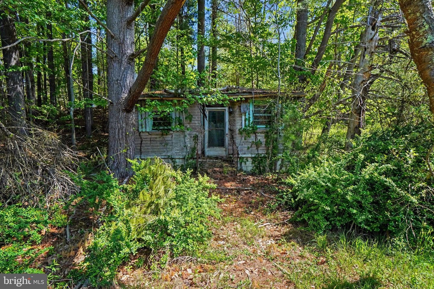 137 Belmar Lane photo 43