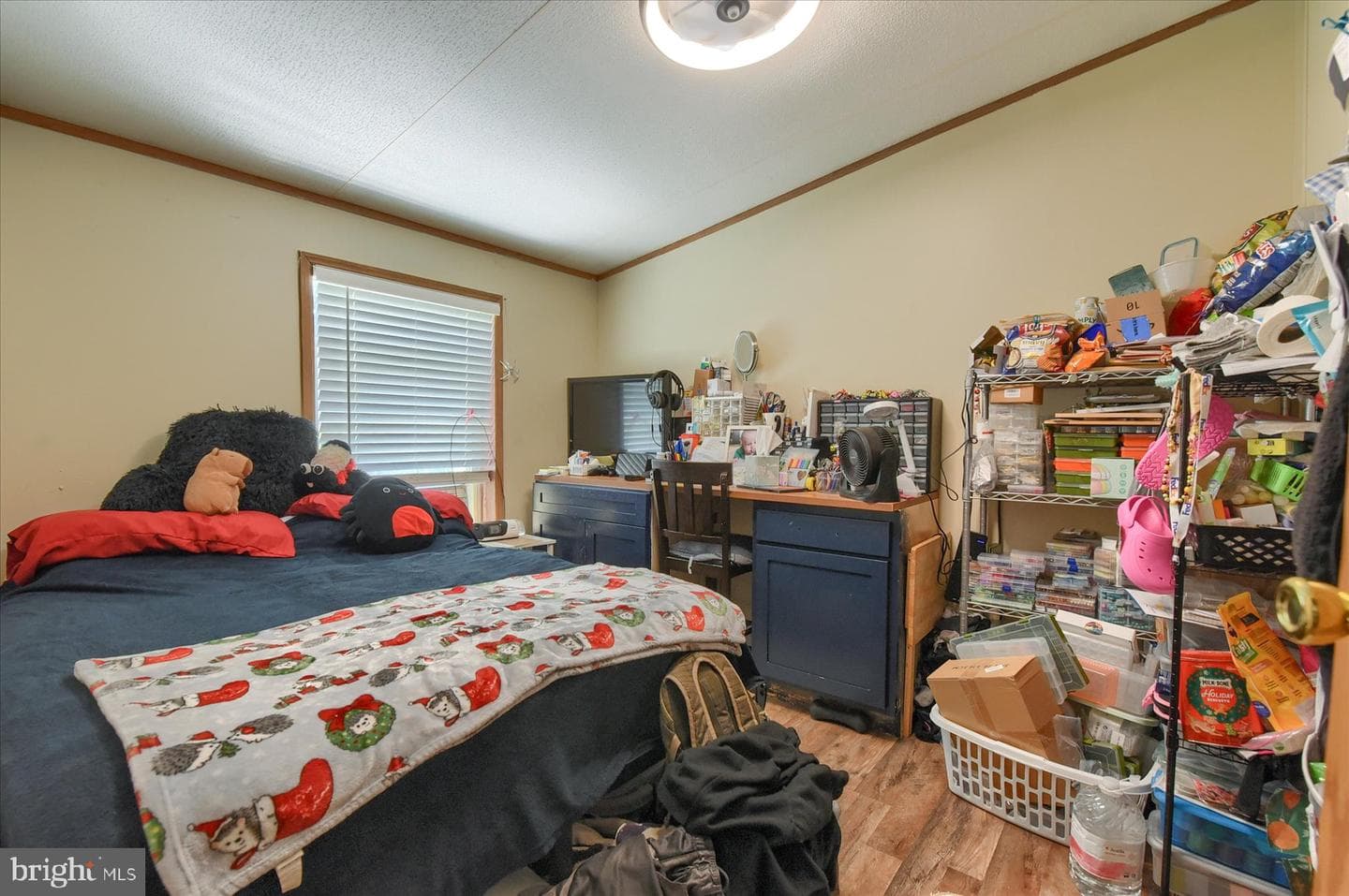 320 Caravan Court photo 20