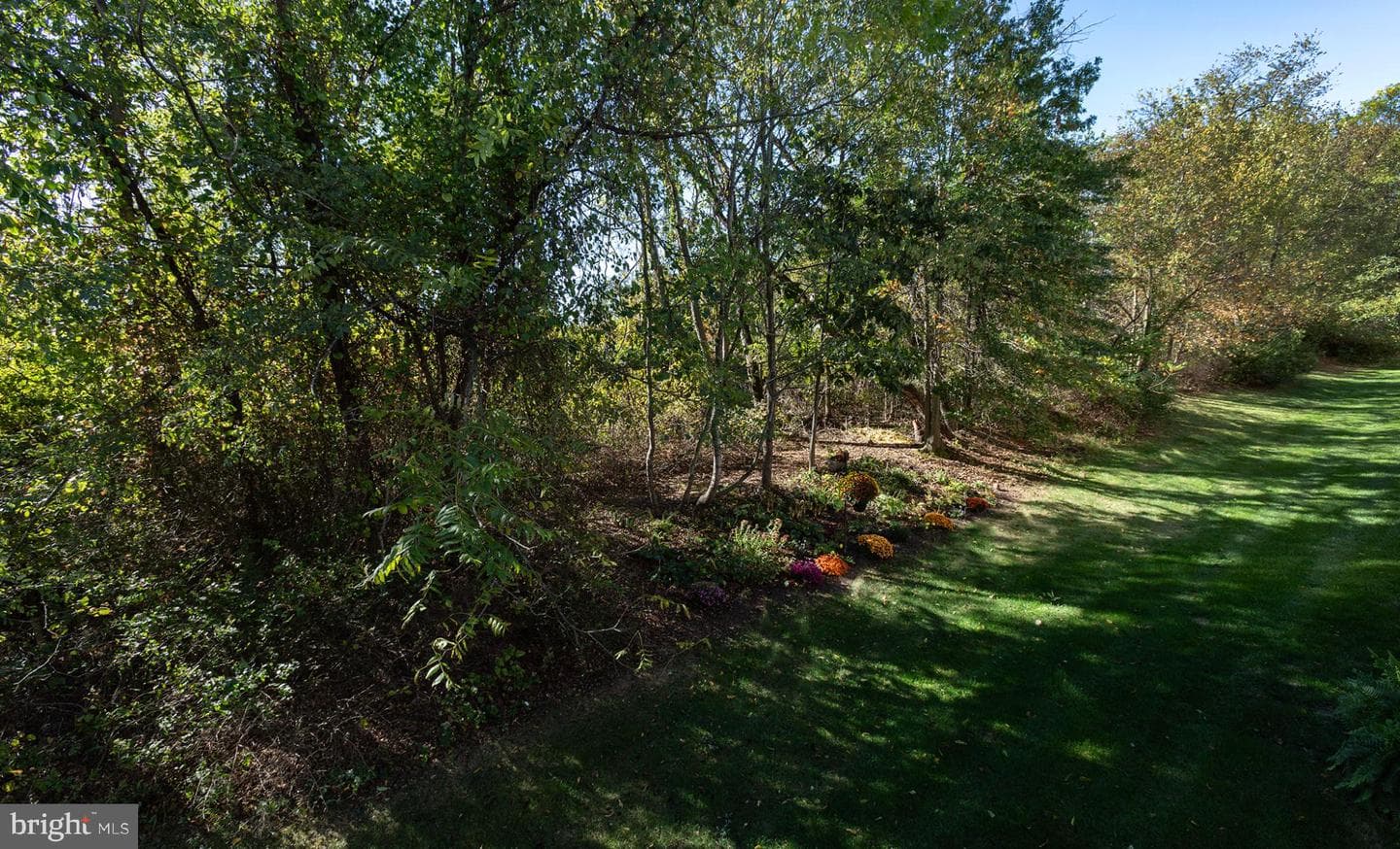 135 Mapleton Boulevard photo 45