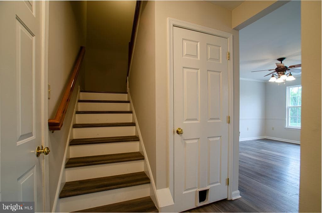 107 Peregrine Lane photo 15