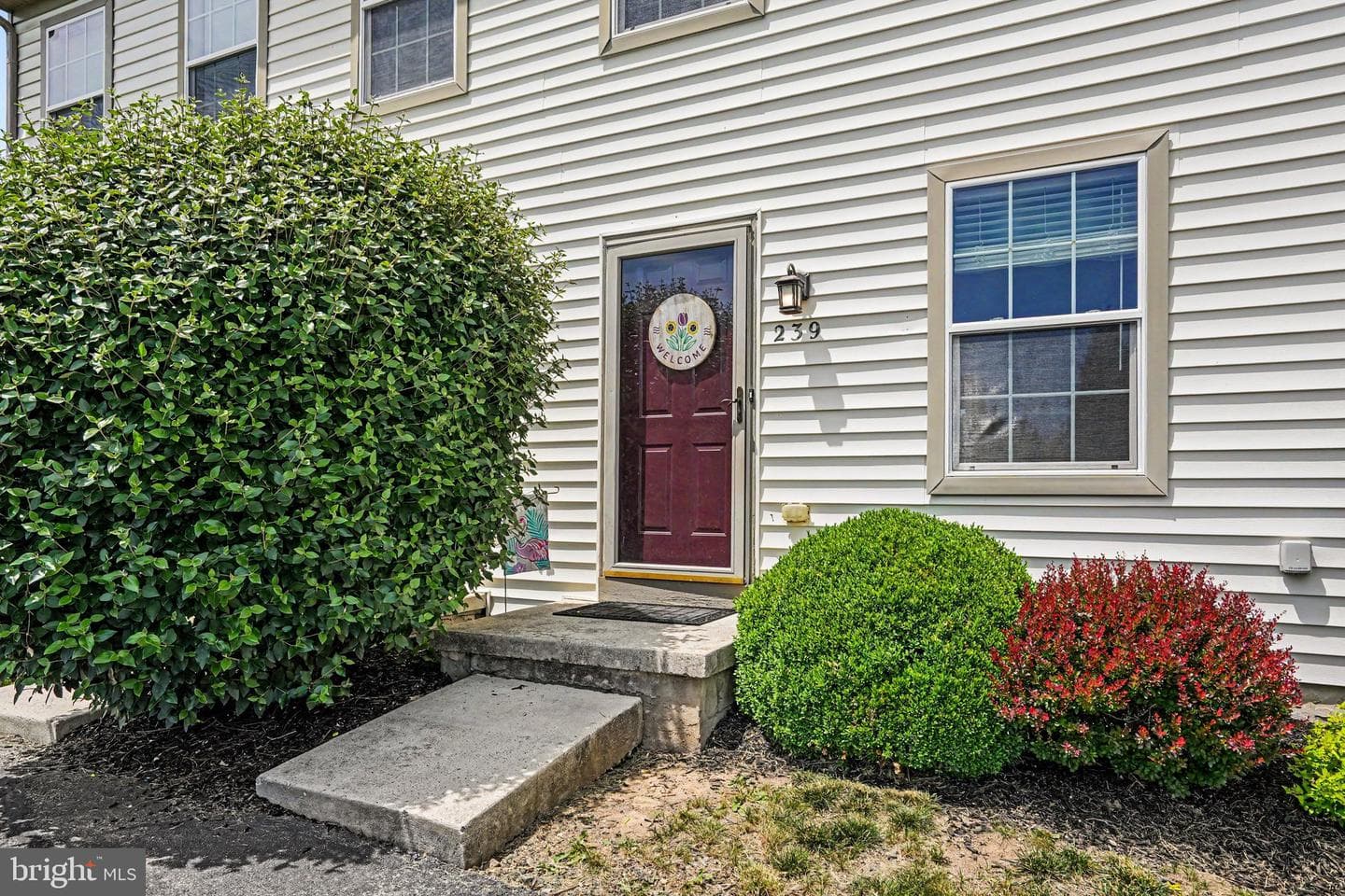 239 Buckley Drive photo 3