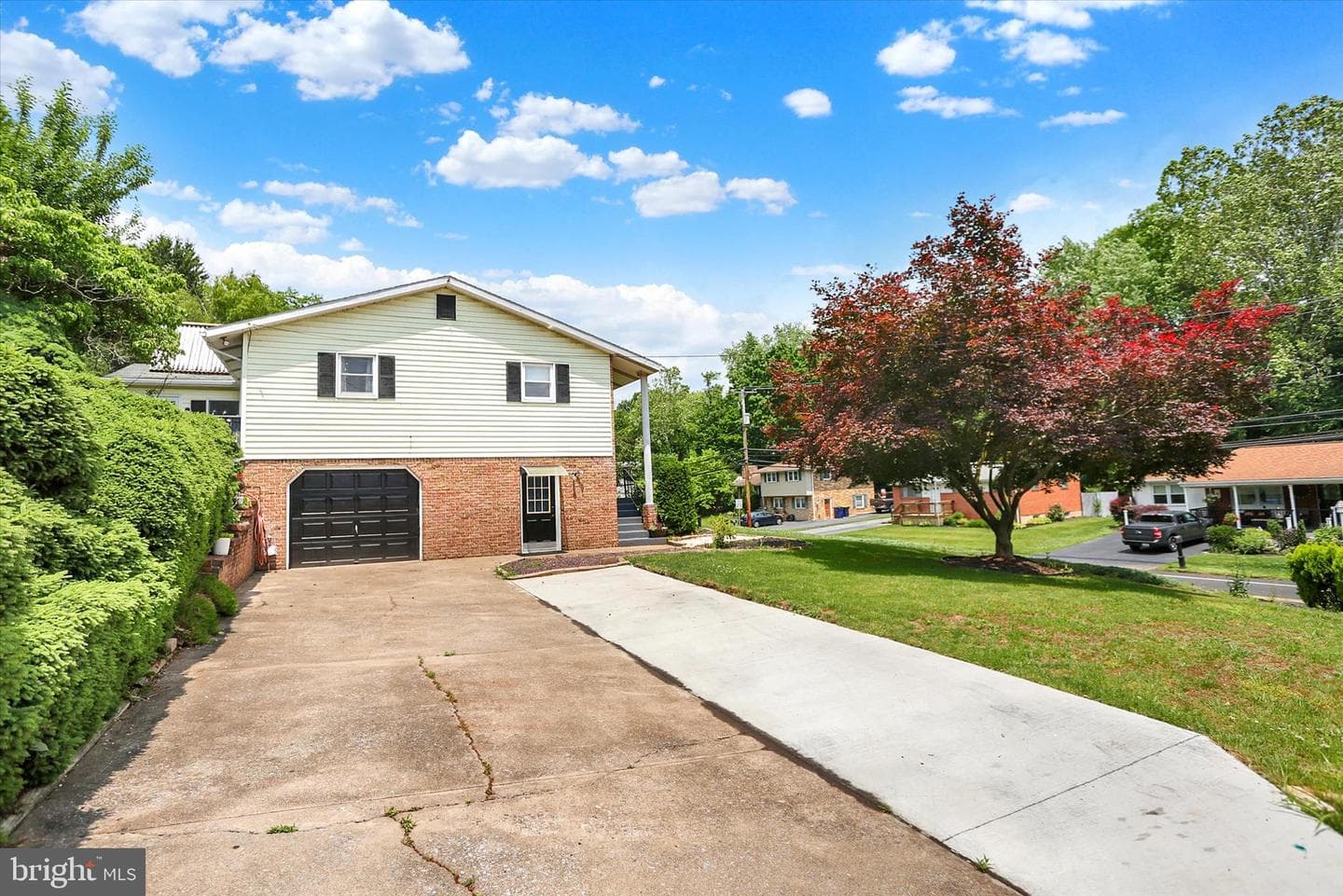 199 Delmont Avenue photo 4