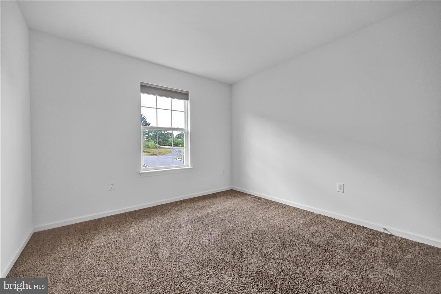8101 Carl Williams Boulevard photo 18