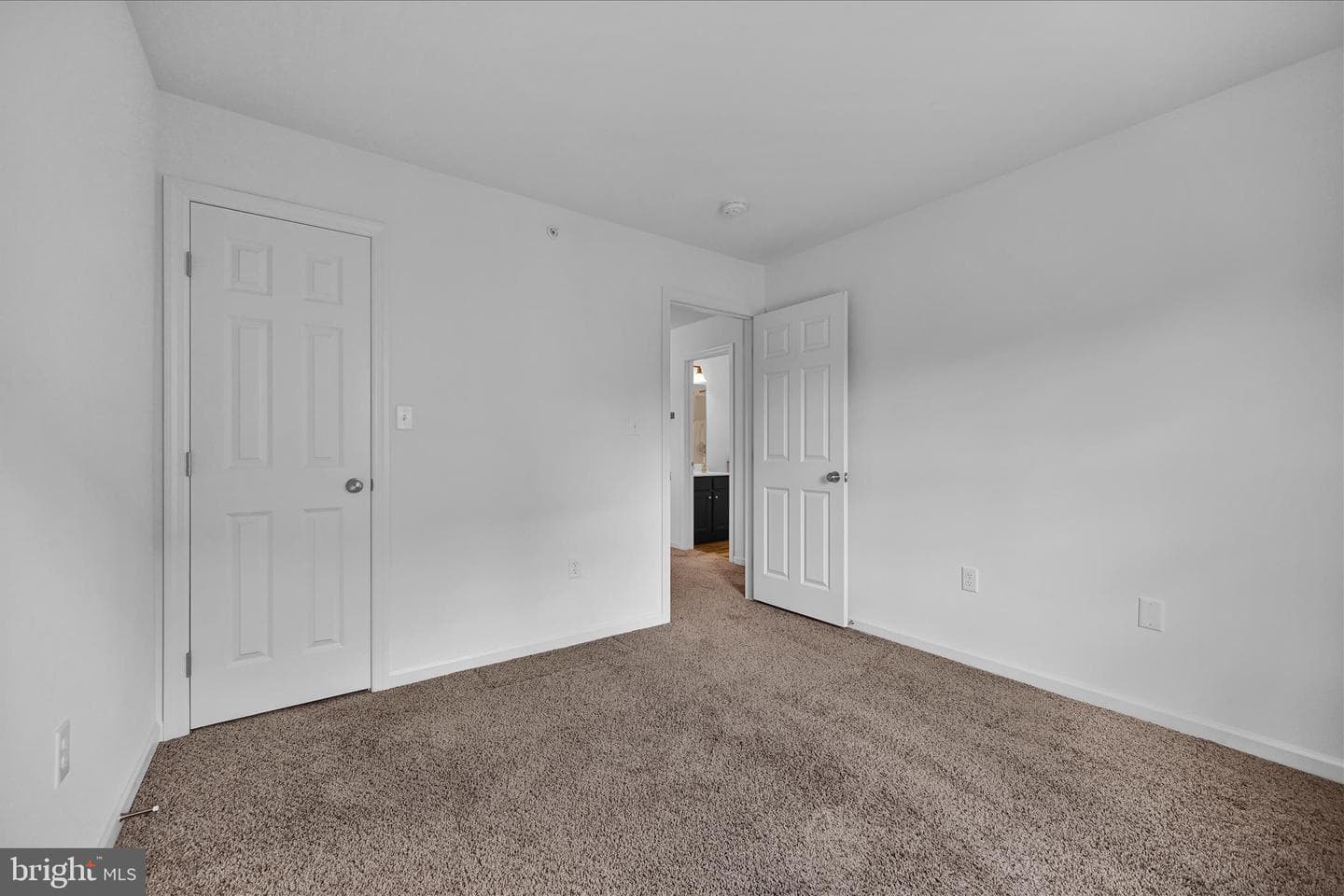8101 Carl Williams Boulevard photo 19