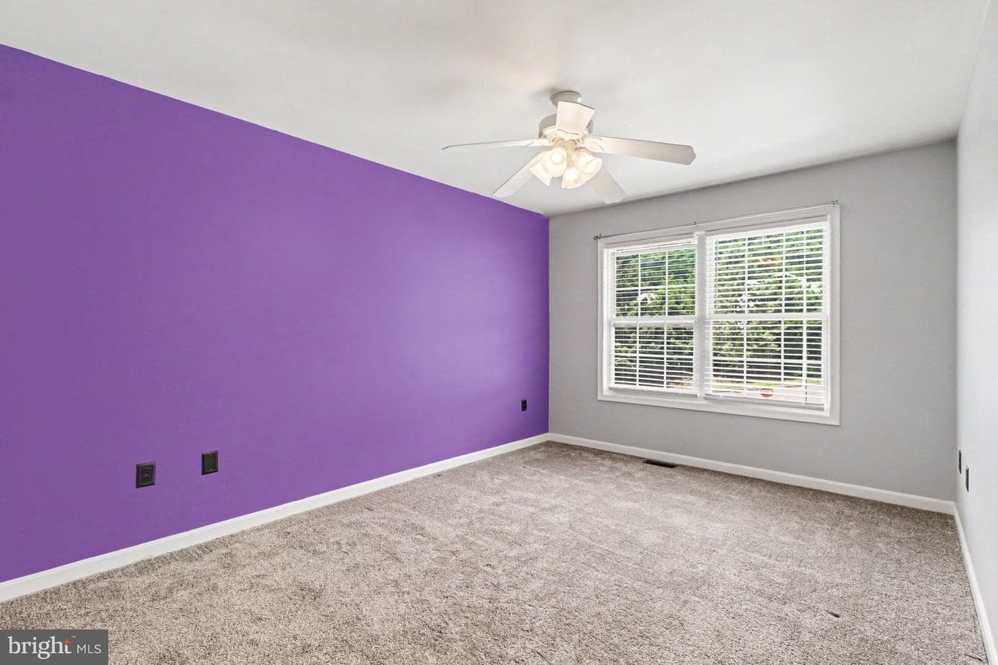 203 Silver Leaf Rdg Ridge photo 20