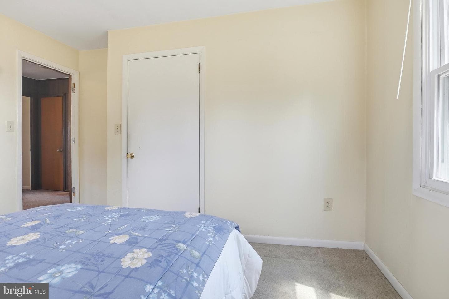 7823 Avondale Terrace photo 14