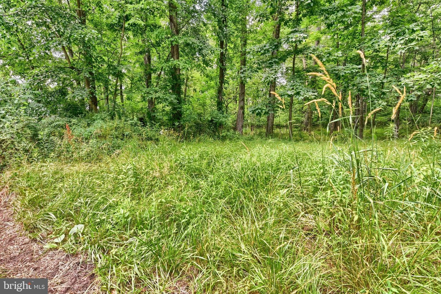 3740 Beagle Rd photo 47