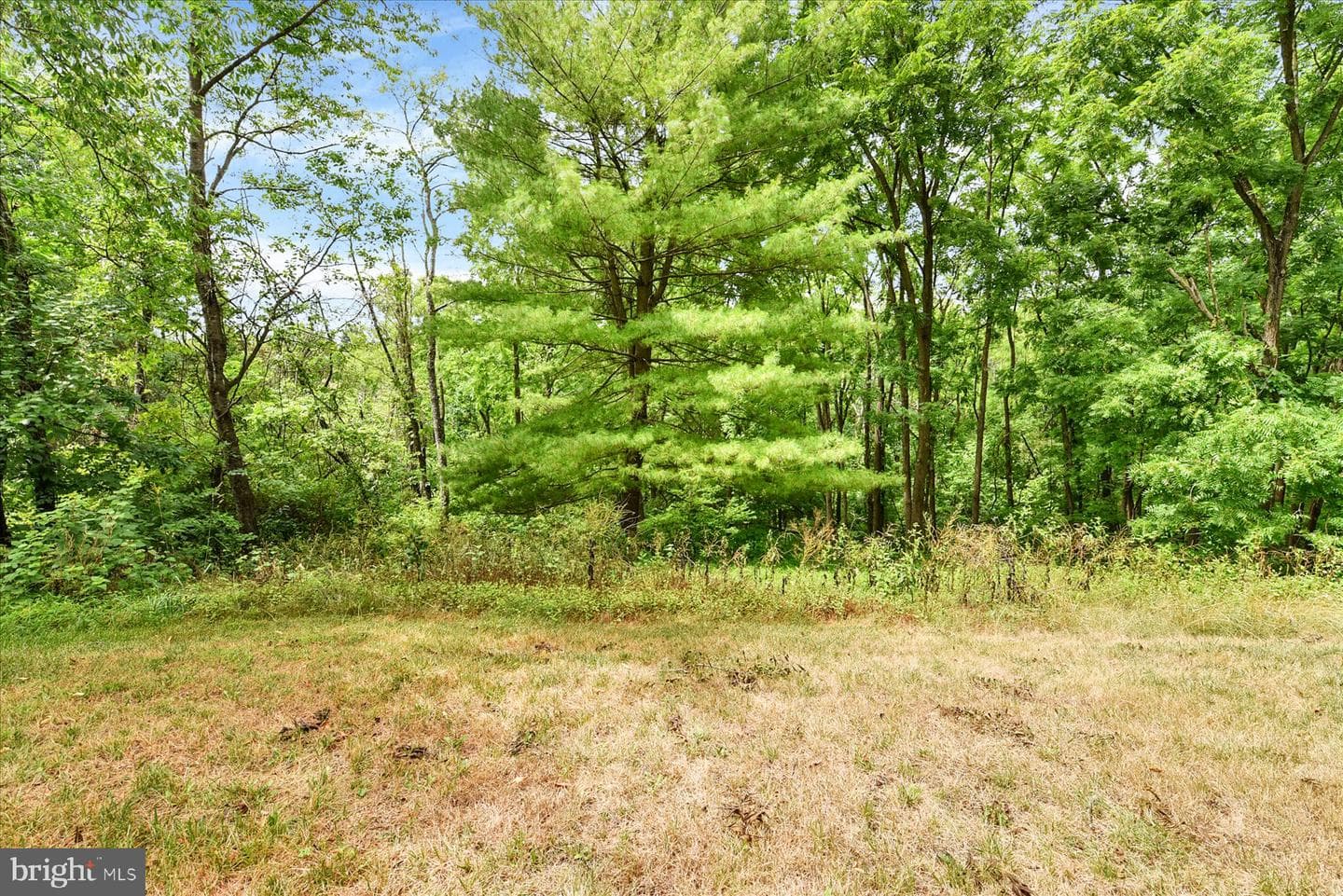 6410 Gallop Road photo 45
