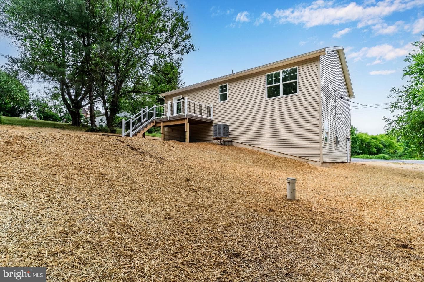 607 Walnut Avenue photo 19