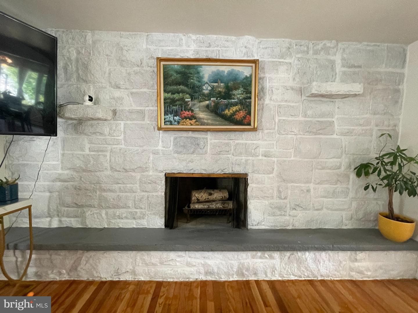 508 Alden Street photo 8