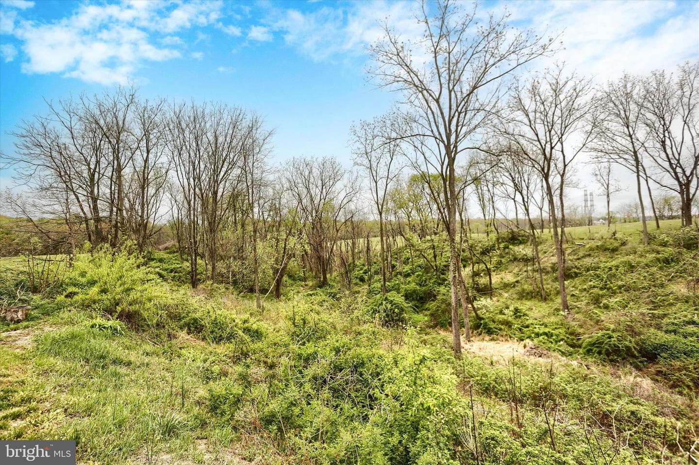 59 Hillymede Road photo 32