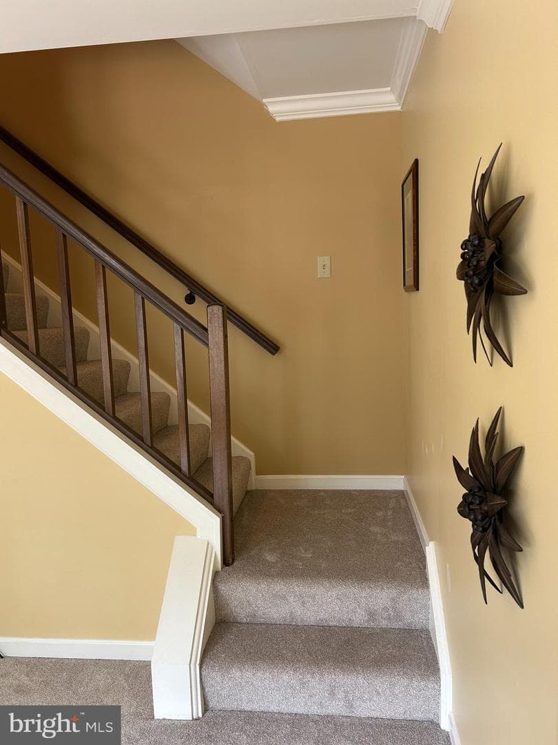 6262 Spring Knoll Drive photo 13