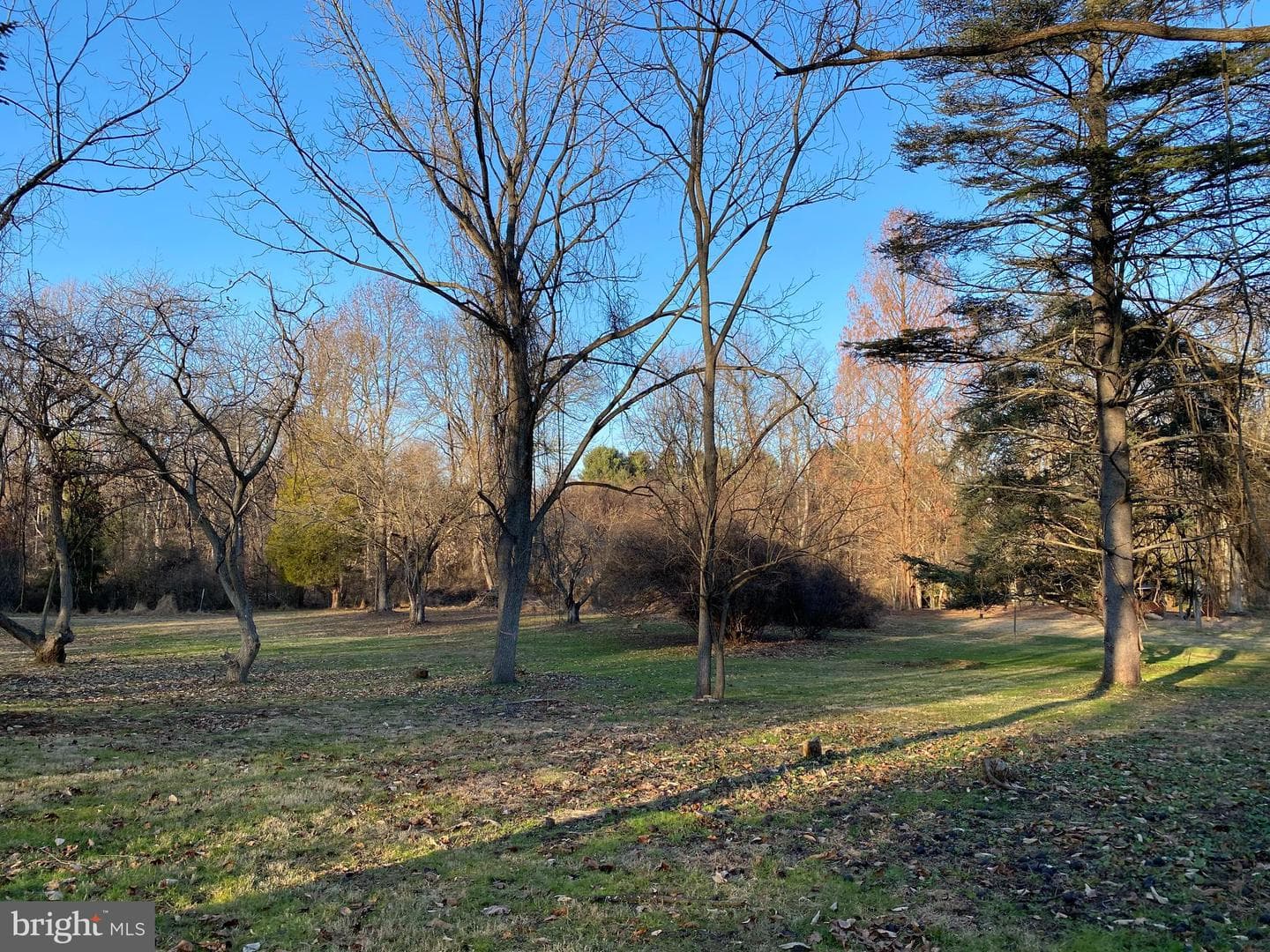 255 Glen Mills Road photo 11