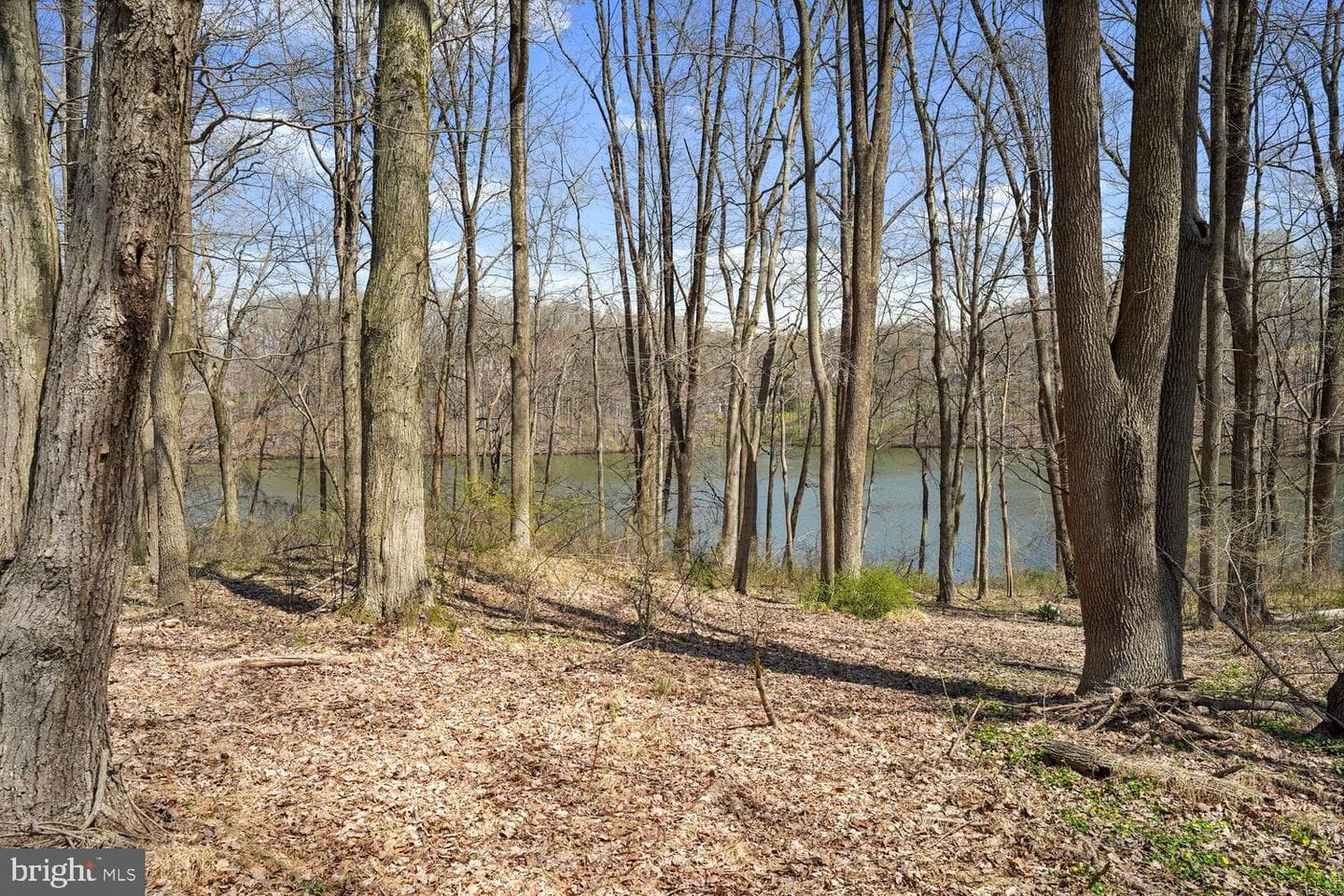 134 Springton Lake Road photo 78