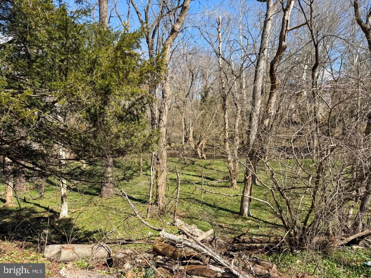 637 N Bishop Avenue photo 46