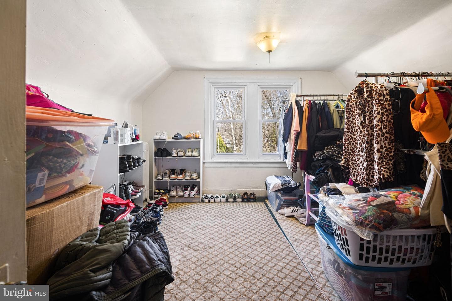 81 Price Avenue photo 23
